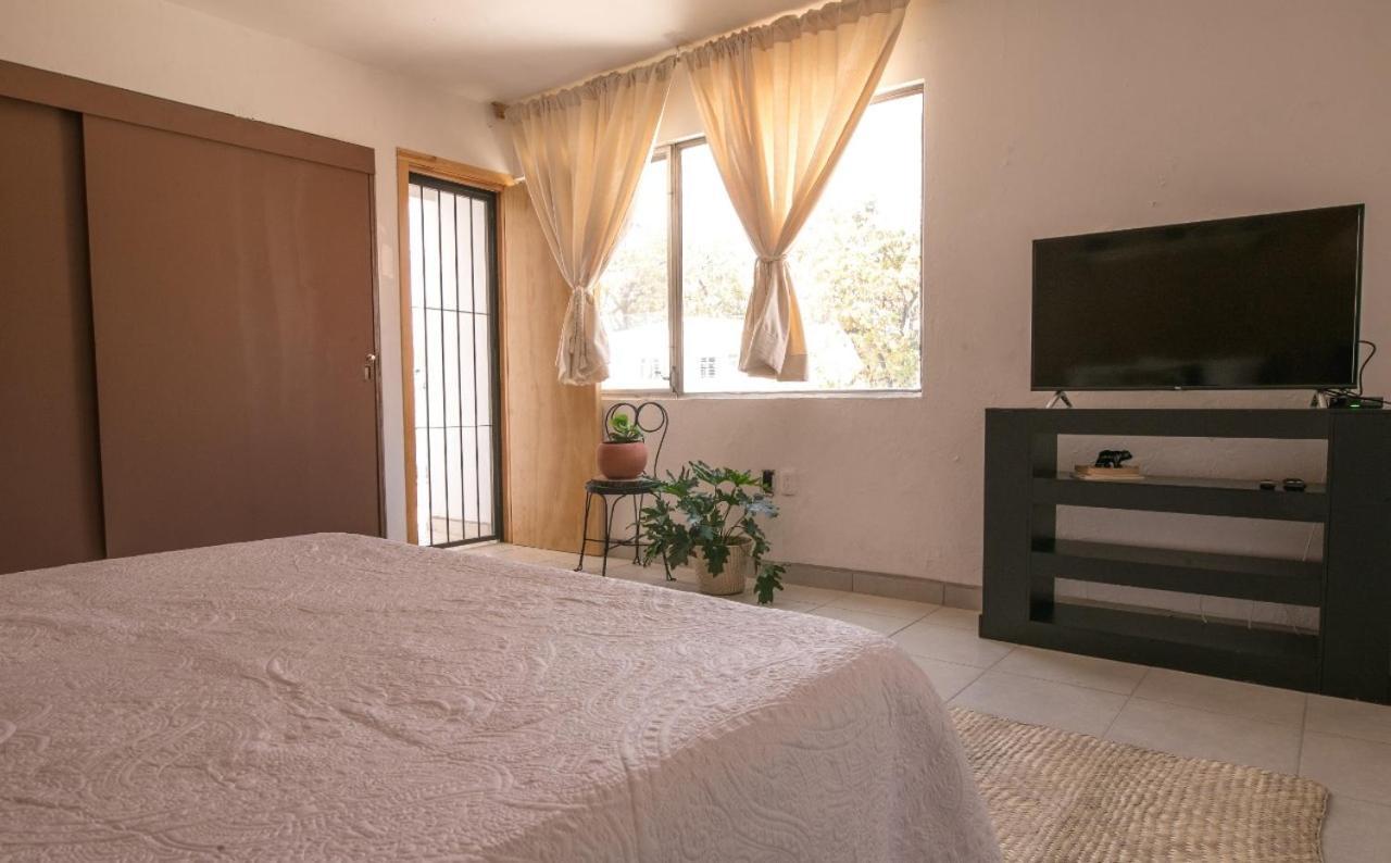 ホテル Casa Matia グアダラハラ エクステリア 写真