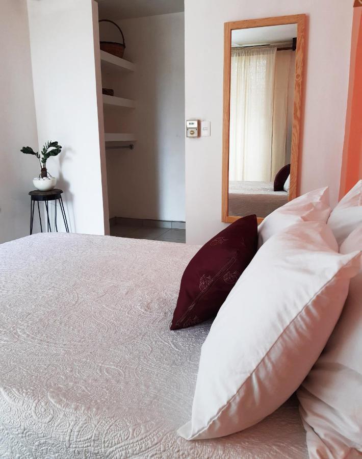 ホテル Casa Matia グアダラハラ エクステリア 写真