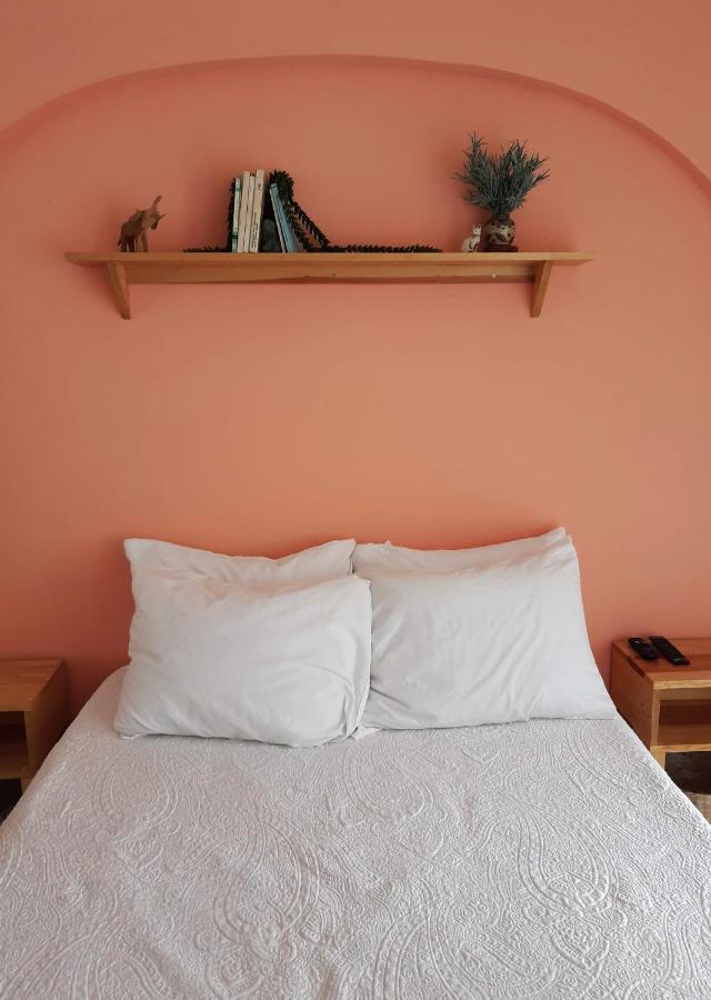 ホテル Casa Matia グアダラハラ エクステリア 写真