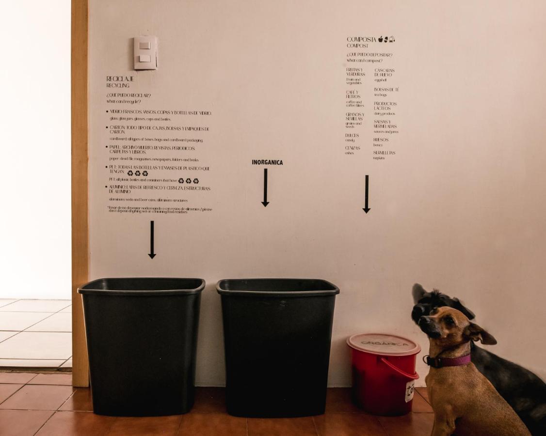 ホテル Casa Matia グアダラハラ エクステリア 写真